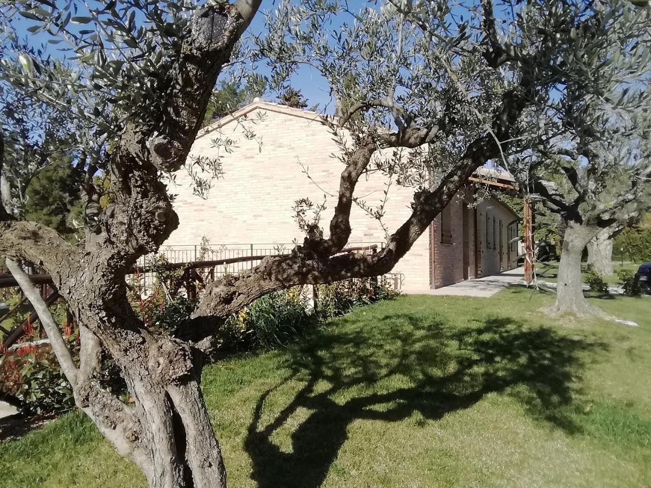 Il Roccolo Di Valcerasa Lejlighed Treia Eksteriør billede