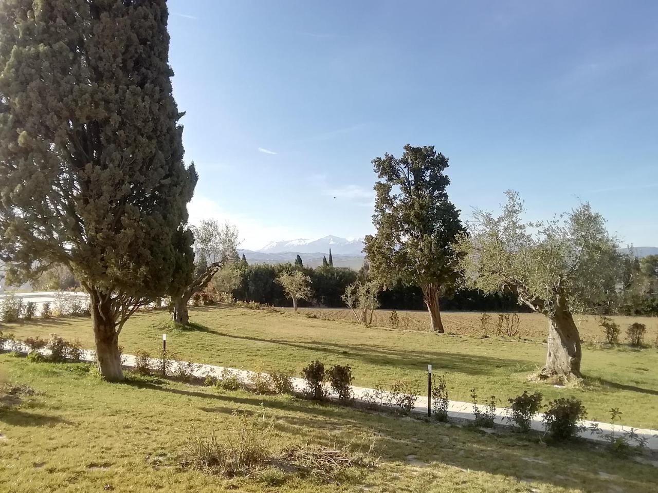 Il Roccolo Di Valcerasa Lejlighed Treia Eksteriør billede